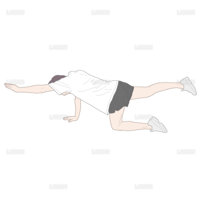 四つんばい姿勢からの上下肢挙げ運動 mサイズ Laiman Stockweb メディカルイラスト素材のダウンロード販売 四つんばい姿勢からの上下肢挙げ運動 mサイズ Laiman Stockweb メディカルイラスト素材のダウンロード販売