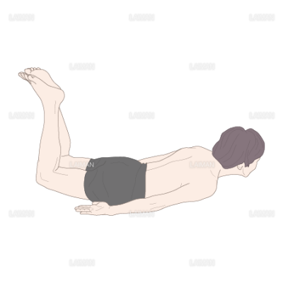 背筋運動 mサイズ Laiman Stockweb メディカルイラスト素材のダウンロード販売 背筋運動 mサイズ Laiman Stockweb メディカルイラスト素材のダウンロード販売