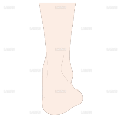 足の基本体位 後面 Sサイズ Laiman Stockweb メディカルイラスト素材のダウンロード販売