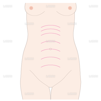 妊娠各週数と子宮底の高さ mサイズ Laiman Stockweb メディカルイラスト素材のダウンロード販売 妊娠各週数と子宮底の高さ mサイズ Laiman Stockweb メディカルイラスト素材のダウンロード販売