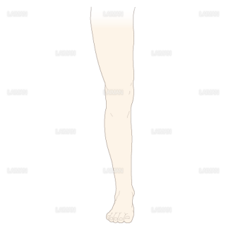 脚の周径測定（Sサイズ）