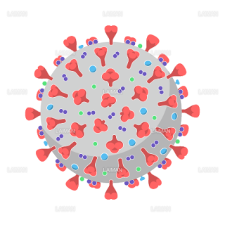 新型コロナウイルス（SARS-CoV-2)の構造_外観（Ｍサイズ）