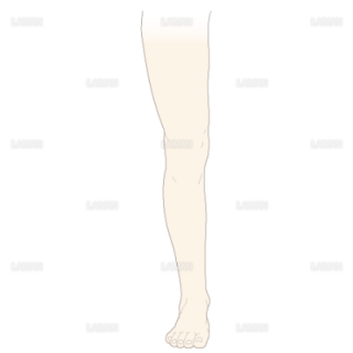 脚の周径測定（Ｍサイズ）