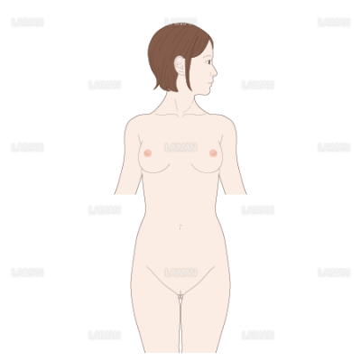 女性の体幹 頸部回旋 mサイズ Laiman Stockweb メディカルイラスト素材のダウンロード販売 女性の体幹 頸部回旋 mサイズ Laiman Stockweb メディカルイラスト素材のダウンロード販売