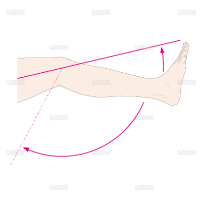 下肢 膝 の屈曲と伸展 Sサイズ Laiman Stockweb メディカルイラスト素材のダウンロード販売