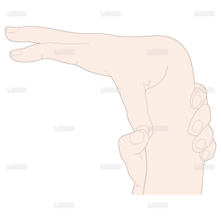 全身関節弛緩性テスト　母指が前弯につく（Sサイズ）
