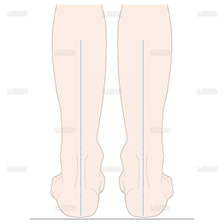 下腿のアライメント　正常（Sサイズ）
