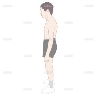 脊柱の湾曲の評価　悪い姿勢（Sサイズ）