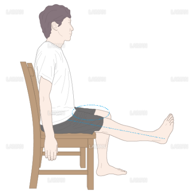 膝関節伸展 ｍサイズ Laiman Stockweb メディカルイラスト素材のダウンロード販売