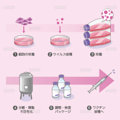 ワクチンの製造 細胞培養法 Sサイズ Laiman Stockweb メディカルイラスト素材のダウンロード販売