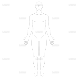 体表 区分 Laiman Stockweb メディカルイラスト素材のダウンロード販売 体表 区分 Laiman Stockweb メディカルイラスト素材のダウンロード販売