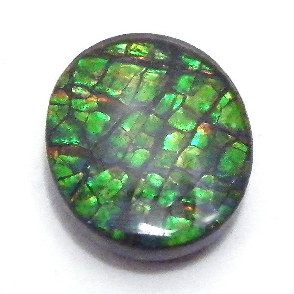 アンモライト【トリプレットルース 1点限定】 約10x12mm 3.60ct 裸石 ルース アンモナイト -  【ジュエリーパーツ工房】アクセサリー/ジュエリー/天然石/クラフトパーツ総合通販店　Tesoro co.ltd.