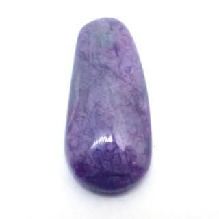 饤 7x7x4mm 1Υ롼 ŷ