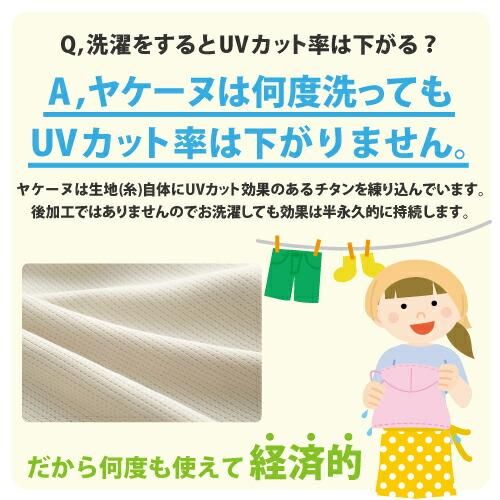 楽天市場】(メール便) ヤケーヌ スタンダード スナップタイプ