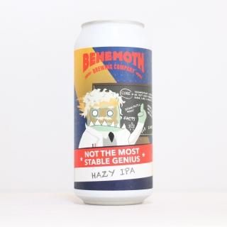 ٥إ⥹֥롼󥰡Υåȥ⡼ȥƥ֥른˥إBEHEMOTH Brewing Not the Most Stable Genius Hazy