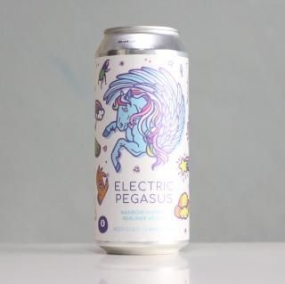 ҥɥ󥹥ץ󥰥쥯ȥåڥHidden Springs Ale Works Electric Pegasus