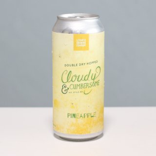 쳤ߥӡեͰۥơDDH饦ǥСࡡѥʥåץLEVANTE DDH Cloudy & Cumbersome - Pineapple