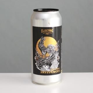 쥯ȥå֥롼󥰡ǥե륨󥷥ELECTRIC BREWING Diverse Influences