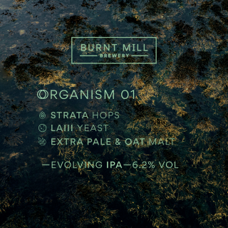 【9/23（土）入荷予定】バーントミル　オルガニズム01（Burnt Mill Organism 01）