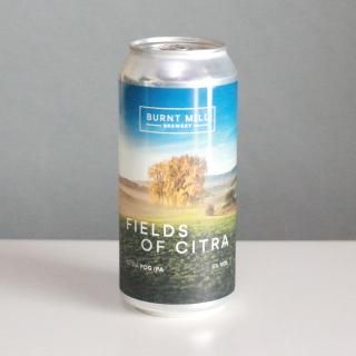 Сȥߥ롡ե륺֥ȥBurnt Mill Fields of Citra
