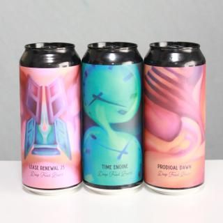 DFBǥץե饤ɥӥ2025ǯ3͢ǻإ3糧åȡDFB HAZY IPA SET 2025.03.Import
