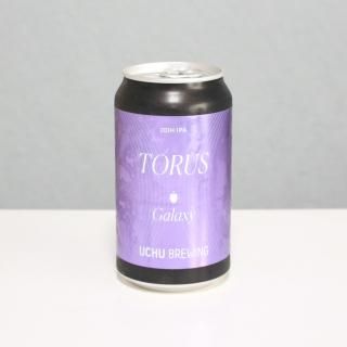 夦֥롼󥰡ȡ饹饯̡UCHU Brewing TORUS Galaxy