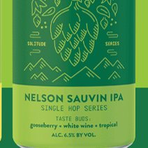 6/13ʶͽۥȥѥȥѡͥ륽IPATopa Topa Nelson IPA