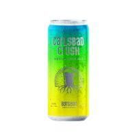 6/26ڡ˸ͽۥСӥѥˡ륹ХåɥåBurgeon Beer Company Carlsbad Crush