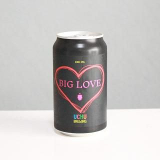 夦֥롼󥰡DDHӥå֡UCHU Brewing DDH BIG LOVE