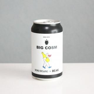 ڤҤȤ2ܤޤǡۤ夦֥롼󥰡ߥӡӥåUCHU Brewing BIG COSM
