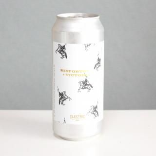쥯ȥå֥롼󥰡ߥե塼󥺥ɥȥ꡼͢ELECTRIC BREWING Misfortunes And Victories