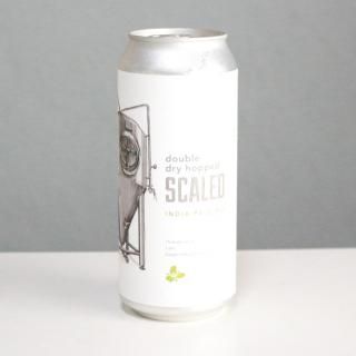 ȥꥦࡡDDHɡ͢trillium DDH Scaled