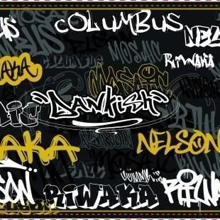 12/3-4ͽۥࡼ쥤󥭥å塡͢MOON RAKER Dankish