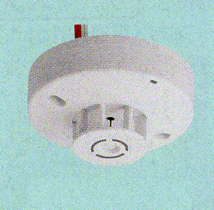 ưݥåȷδ겹ݥåȷɿ巿(BV419131)