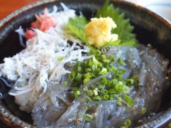 しらしらす 訳ありしらす干し 4kg(1kg×4箱) 冷凍 減塩 南知多町師崎 山庄