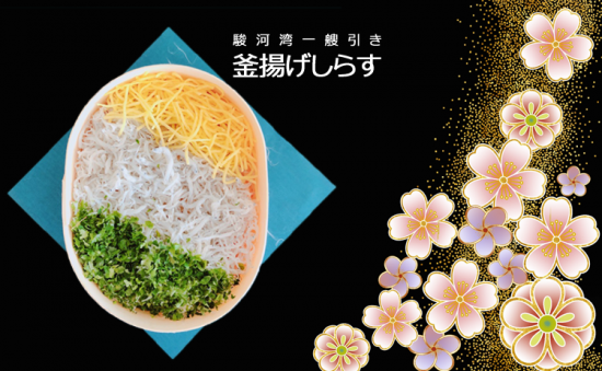 しらす 駿河湾の至宝「桜海老」「しらす」と沼津干物