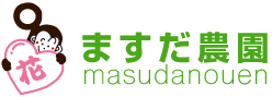 ޤô츩Բû줫饷󡢥͡Ϥޤ
