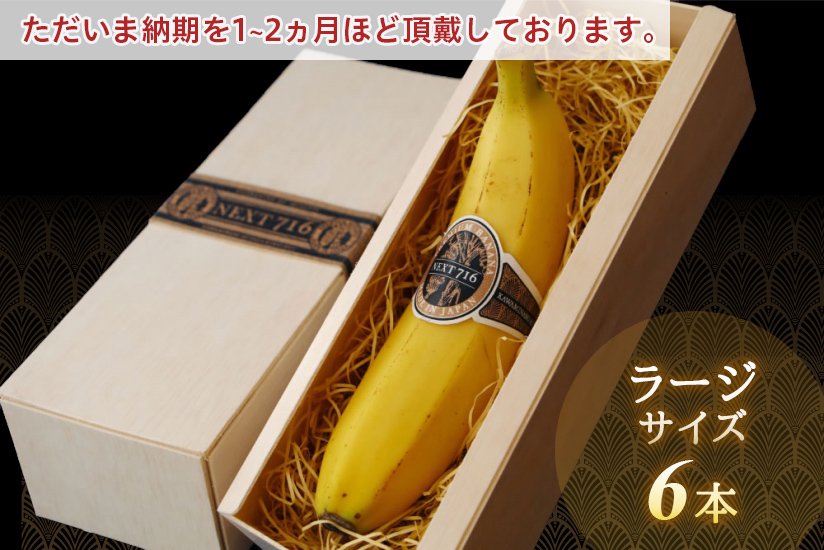 希少！国産バナナ NEXT716 【ﾗｰｼﾞx6本】 - 宮崎県産無農薬バナナ「NEXT716」
