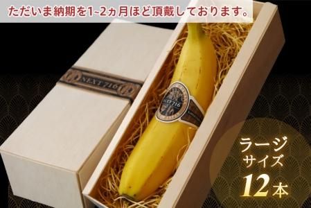 全商品 - 宮崎県産無農薬バナナ「NEXT716」