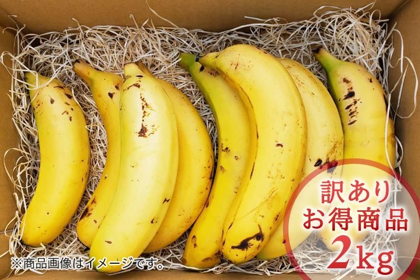 希少!国産バナナNEXT716【訳あり2kg】 - 宮崎県産無農薬バナナ 希少!国産バナナNEXT716【訳あり2kg】 - 宮崎県産無農薬バナナ