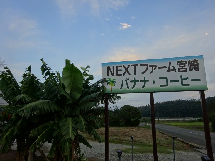 大人気】宮崎バナナづくしセット - 宮崎県産無農薬バナナ「NEXT716」