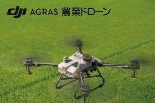 AGRAS ֽ_饤