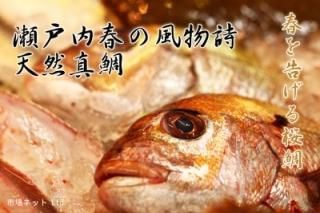 ŷʺ