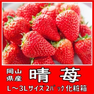 ◆送料無料◆晴苺・おいCベリー 岡山県産 L〜３Lサイズ 2パック入 化粧箱