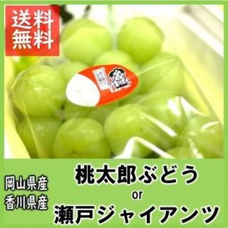 Ϻ֤ɤ   2kg 35˼ ˼Բ 