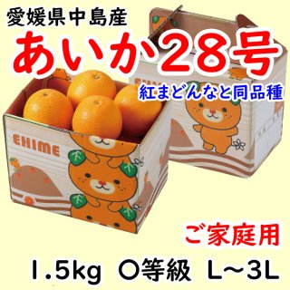 あいか28号 愛媛県産 普通箱 1.5kg M〜2Lサイズ ご家庭用 ギフト 送料込み 予約商品