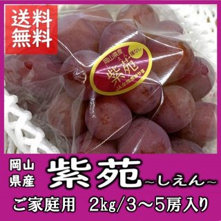 紫苑 岡山の冬葡萄 ご家庭用 2� 3〜5房 房数指定不可 送料込み