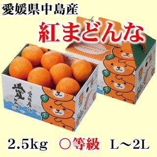 紅まどんな 愛媛県オリジナル柑橘 〇等級 約2.5� L〜2L 贈答用 御歳暮 ギフト 予約商品 送料込み