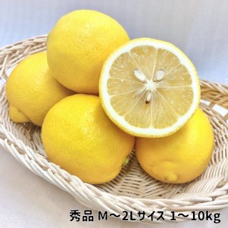 ◆送料無料◆国産レモン　愛媛県産　秀品　M〜2Lサイズ（1kg,2kg,3kg,5kg,10kg）