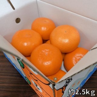 せとか 愛媛県産 〇・無印 みきゃんちゃん箱 約2.5kg M〜2L 送料込み